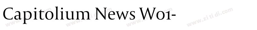 Capitolium News W01字体转换